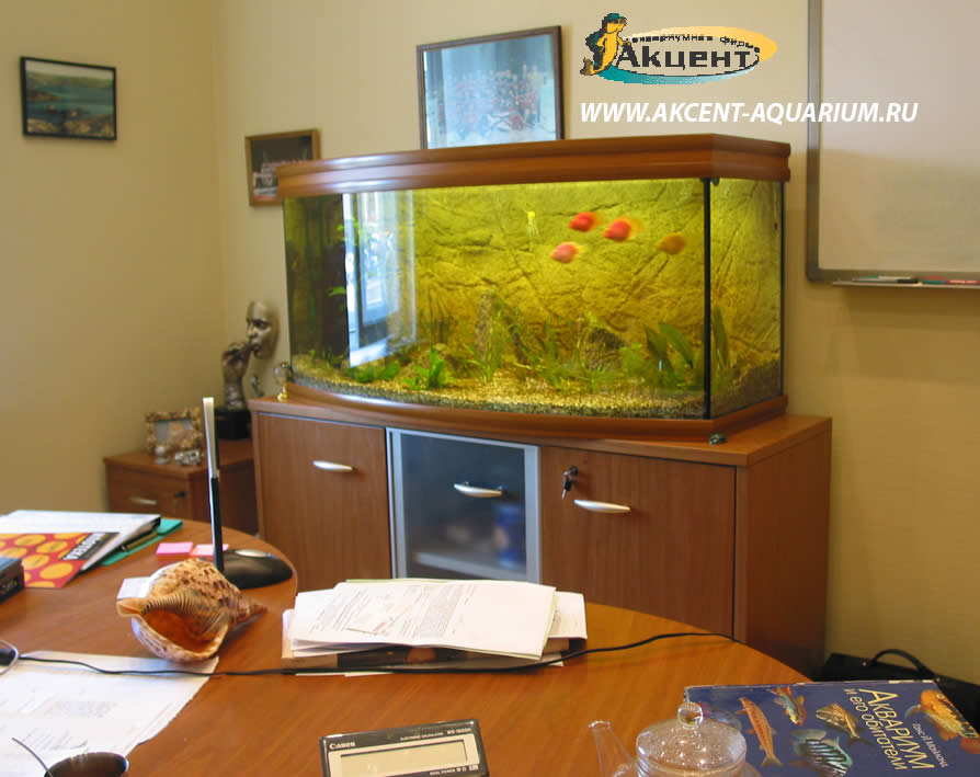 Акцент-аквариум,аквариум 270 литров с гнутым передним стеклом